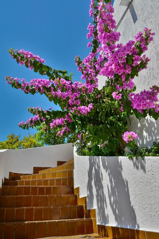 Bella Vista Apartments Crikvenica Dış mekan fotoğraf